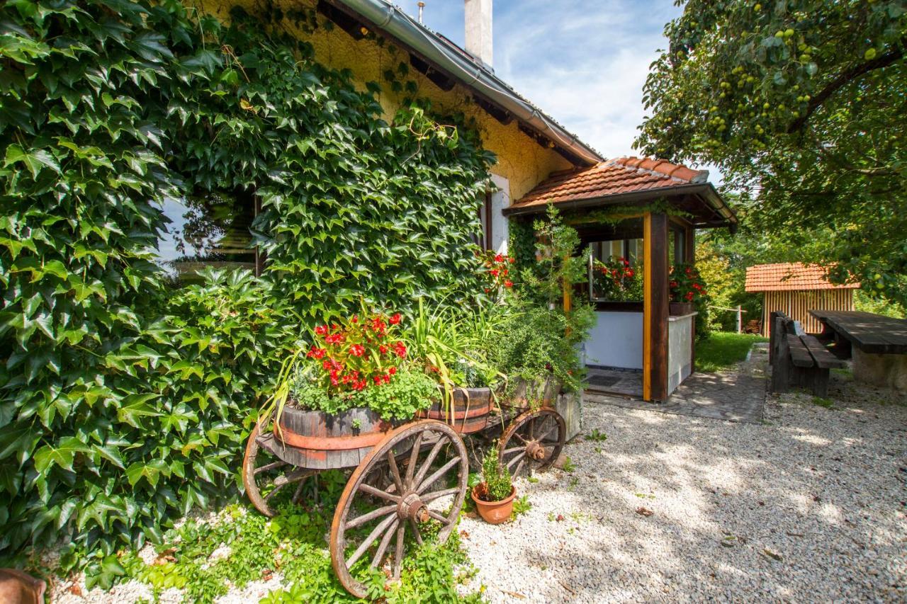 Holiday Home Juricko With Private Sauna Bizeljsko Buitenkant foto